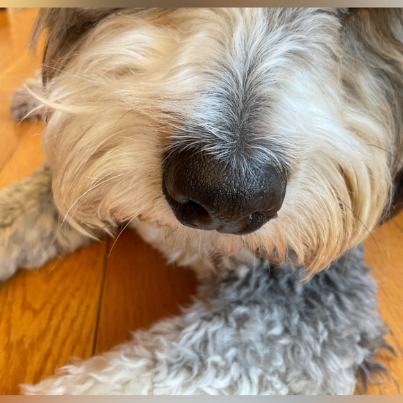 Hey! - Picture 2 of 3